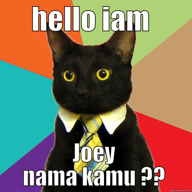 HELLO IAM  JOEY NAMA KAMU ?? Business Cat