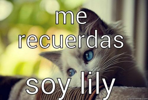 ME RECUERDAS SOY LILY First World Problems Cat