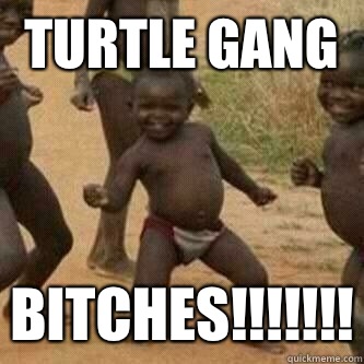 Turtle gang Bitches!!!!!!!  Its friday niggas