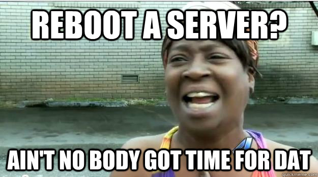 reboot a server? AIN'T NO BODY GOT TIME FOR DAT  AINT NO BODY GOT TIME FOR DAT