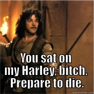  YOU SAT ON MY HARLEY, BITCH.  PREPARE TO DIE. Misc