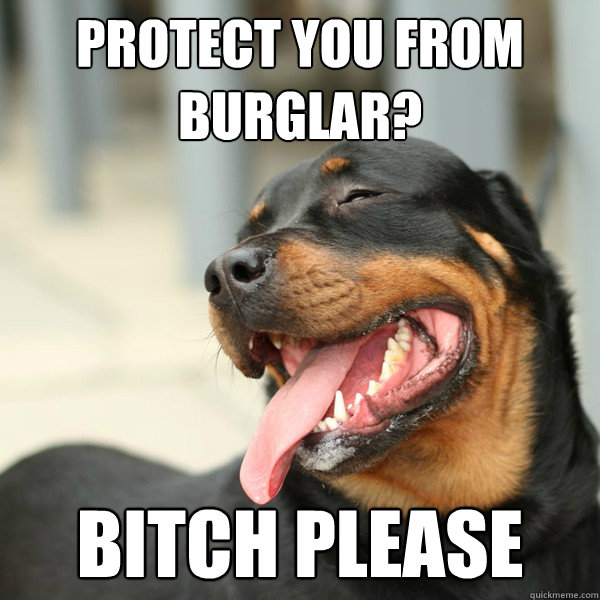 Protect you from Burglar? Bitch please  