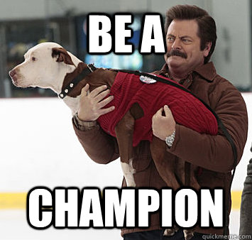 Be a Champion - Be a Champion  Misc