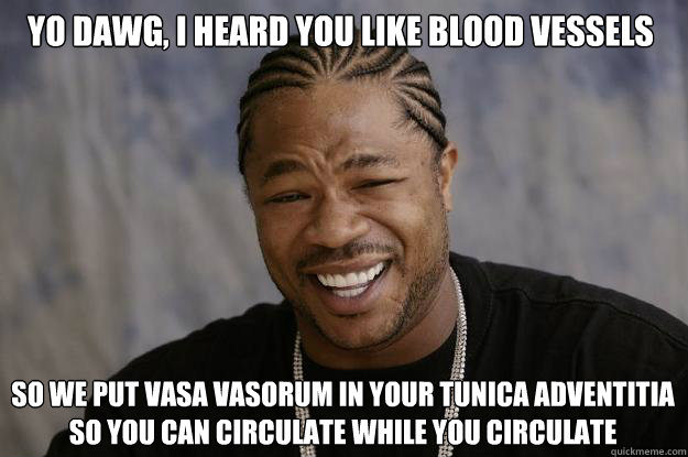 Yo dawg, I heard you like blood vessels so we put vasa vasorum in your tunica adventitia so you can circulate while you circulate  Xzibit meme