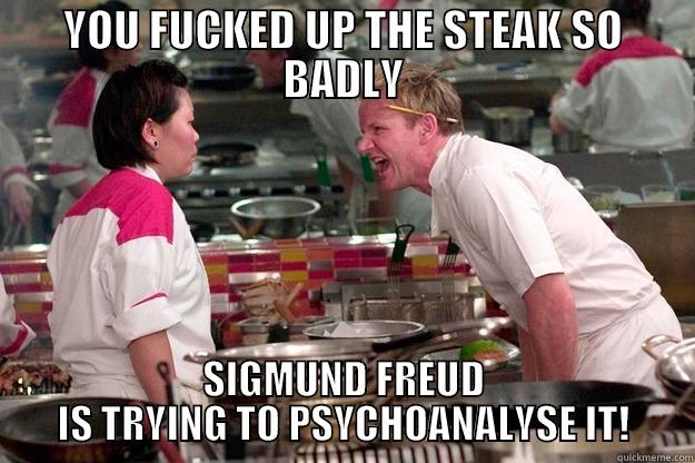 gordon ramsay - YOU FUCKED UP THE STEAK SO BADLY SIGMUND FREUD IS TRYING TO PSYCHOANALYSE IT! Gordon Ramsay