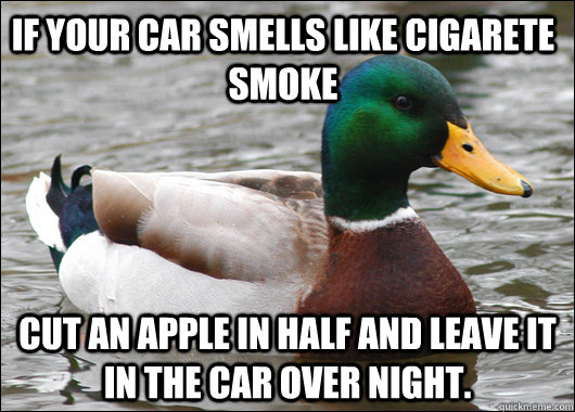 If your car smells like cigarete smoke Cut an apple in half and leave it in the car over night.  Actual Advice Mallard
