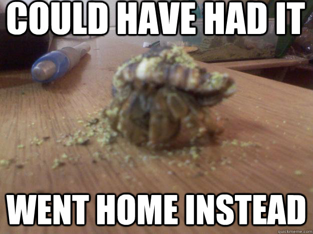 Could have had it Went home instead    Hermit Crab