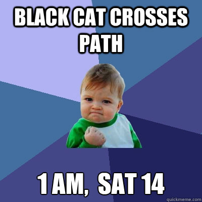 Black cat crosses path 1 am,  Sat 14 - Black cat crosses path 1 am,  Sat 14  Success Kid