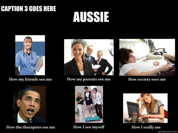 Aussie  Caption 3 goes here  How they see me