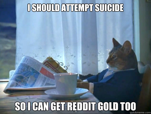 I should attempt suicide so i can get reddit gold too  The One Percent Cat