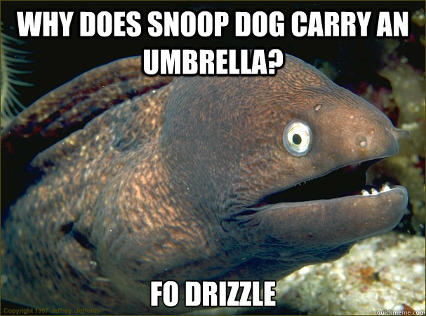 Why does Snoop Dog carry an umbrella? Fo drizzle  Bad Joke Eel