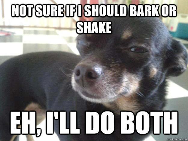 Not sure if i should bark or shake eh, i'll do both  