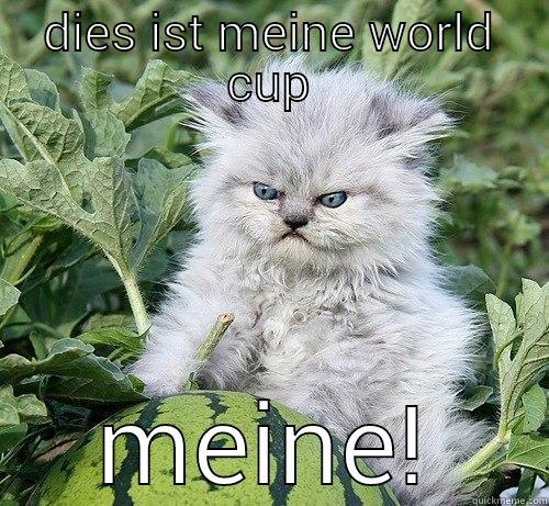 germany right now - DIES IST MEINE WORLD CUP MEINE! German Kitty