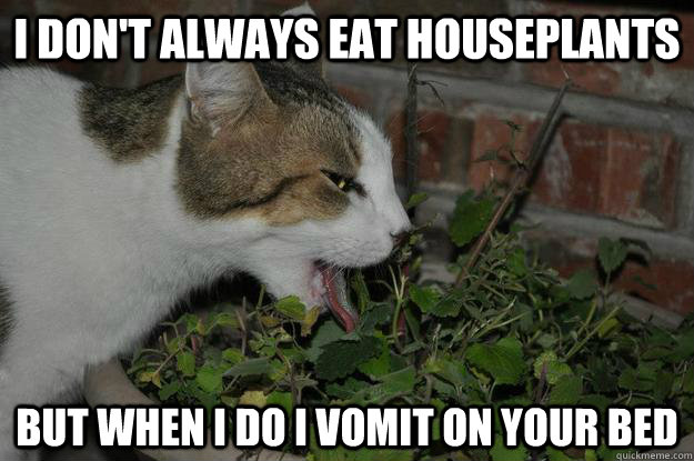 I don't Always eat houseplants But when I do I vomit on your bed  