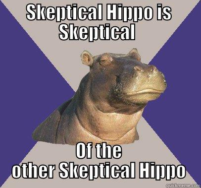 SKEPTICAL HIPPO IS SKEPTICAL  OF THE OTHER SKEPTICAL HIPPO Skeptical Hippo
