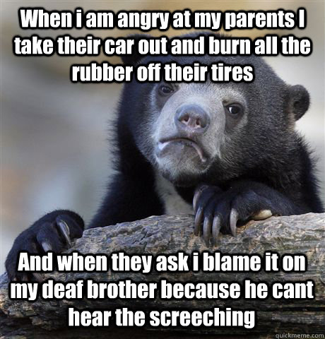 When i am angry at my parents I take their car out and burn all the rubber off their tires And when they ask i blame it on my deaf brother because he cant hear the screeching   Confession Bear