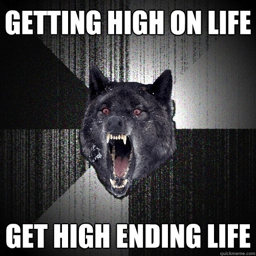 getting high on life get high ending life  Insanity Wolf
