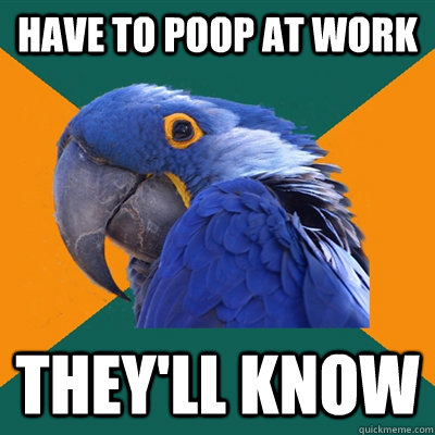 Have to poop at work They'll know  Paranoid Parrot