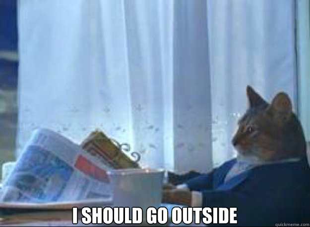 I should go outside  - I should go outside   I should buy a boat cat