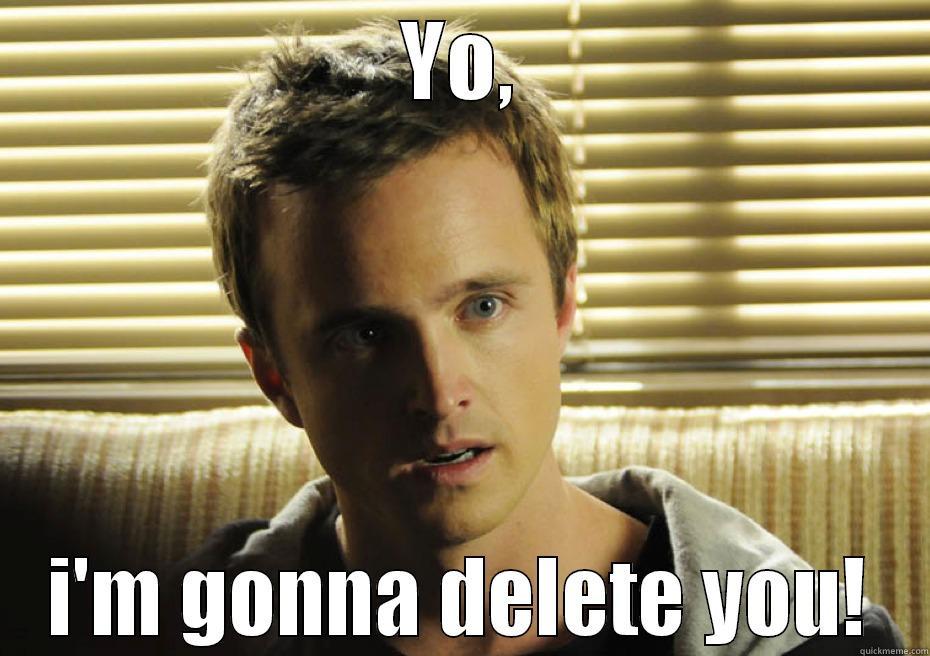 YO, I'M GONNA DELETE YOU! Misc