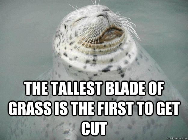 The Tallest Blade of Grass is the First To Get Cut  Zen Seal