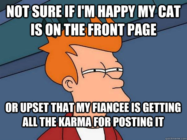not sure if i'm happy my cat is on the front page or upset that my fiancee is getting all the karma for posting it  FuturamaFry