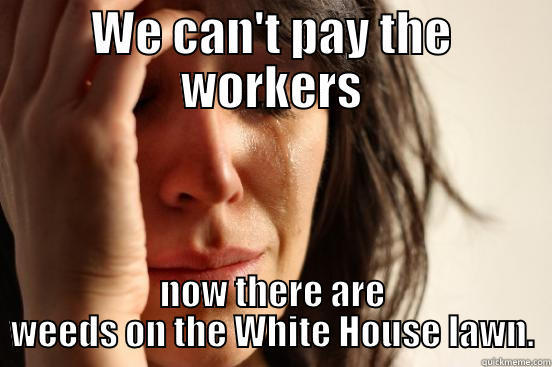 WE CAN'T PAY THE WORKERS NOW THERE ARE WEEDS ON THE WHITE HOUSE LAWN. First World Problems