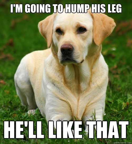 I'm going to hump his leg He'll like that  Dog Logic