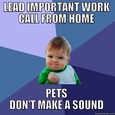 LEAD IMPORTANT WORK CALL FROM HOME PETS DON'T MAKE A SOUND Success Kid
