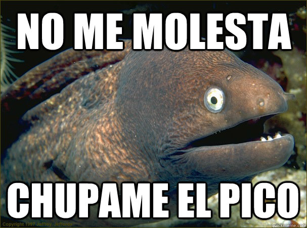 No me molesta chupame el pico  Bad Joke Eel