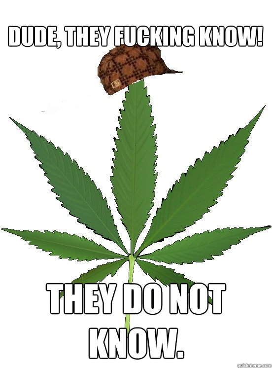 Dude, they fucking know! They do not know. - Dude, they fucking know! They do not know.  Scumbag cannabis