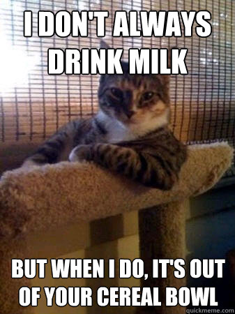 I don't always drink milk but when I do, it's out of your cereal bowl  The Most Interesting Cat in the World