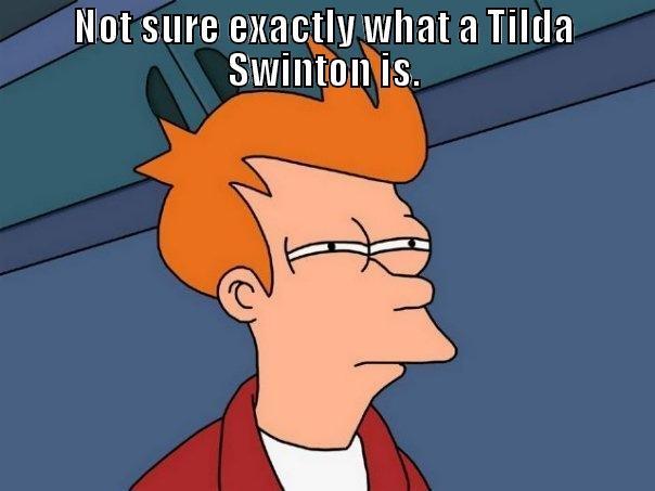 NOT SURE EXACTLY WHAT A TILDA SWINTON IS.  Futurama Fry