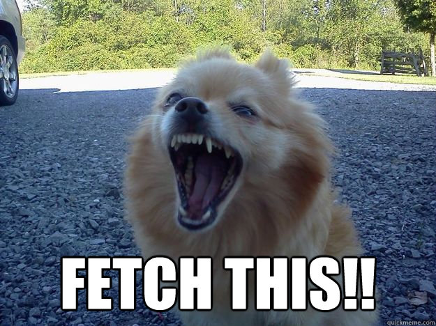  fetch this!!  