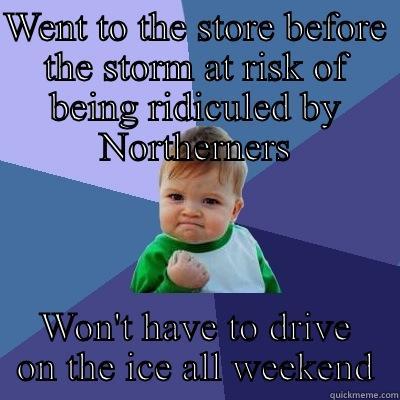 WENT TO THE STORE BEFORE THE STORM AT RISK OF BEING RIDICULED BY NORTHERNERS WON'T HAVE TO DRIVE ON THE ICE ALL WEEKEND Success Kid