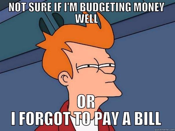 NOT SURE IF I'M BUDGETING MONEY WELL OR I FORGOT TO PAY A BILL Futurama Fry