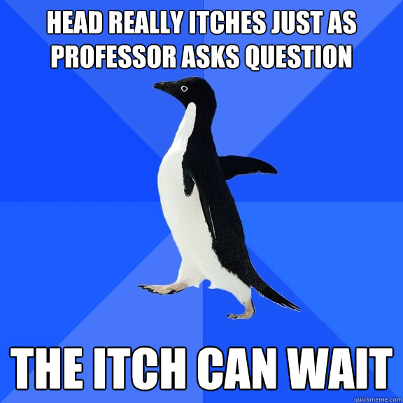 Head really itches just as professor asks question The itch can wait  Socially Awkward Penguin
