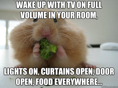 Wake up with tv on full volume in your room, lights on, curtains open, door open, food everywhere...  