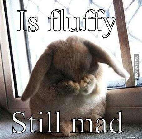 IS FLUFFY STILL MAD Misc