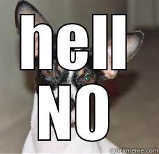 HELL NO Misc
