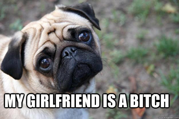 My Girlfriend is a bitch - My Girlfriend is a bitch  First World Dog problems