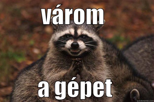 VÁROM  A GÉPET Evil Plotting Raccoon