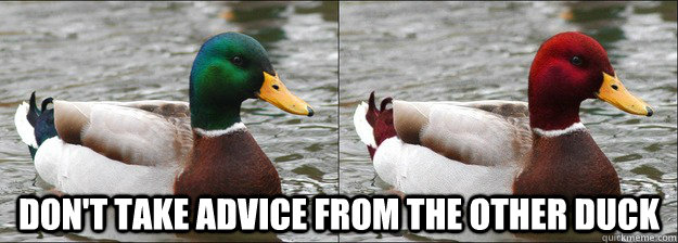  Don't take advice from the other duck -  Don't take advice from the other duck  Misc