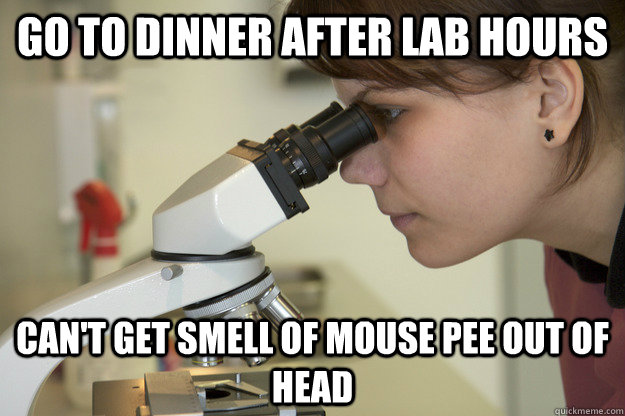 go to dinner after lab hours can't get smell of mouse pee out of head - go to dinner after lab hours can't get smell of mouse pee out of head  Biology Major Student