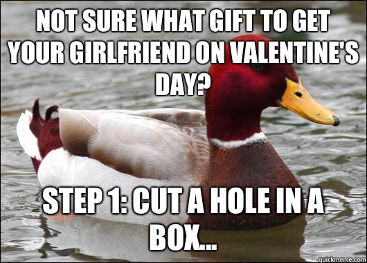 not sure what gift to get your girlfriend on valentine's day? step 1: cut a hole in a box...  Malicious Advice Mallard