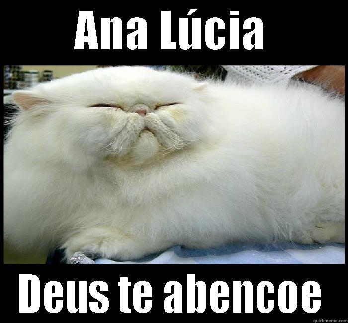 GATO PERSA GORDO - ANA LÚCIA DEUS TE ABENCOE Misc