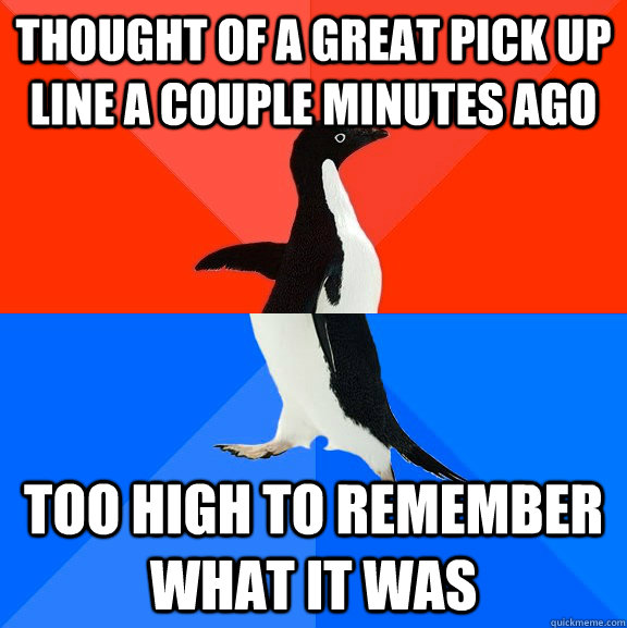 Thought of a great pick up line a couple minutes ago too high to remember what it was  Socially Awesome Awkward Penguin