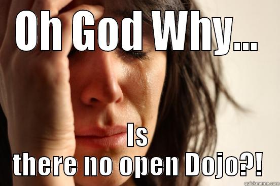 OH GOD WHY... IS THERE NO OPEN DOJO?! First World Problems