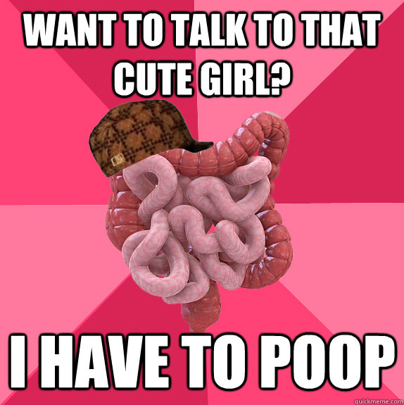 Want to talk to that cute girl? I have to poop  Scumbag Intestines