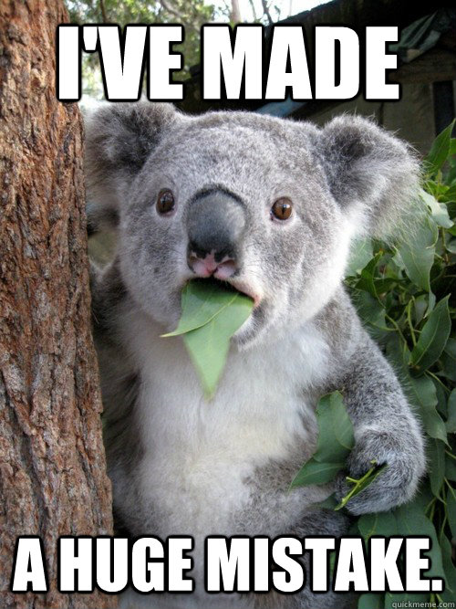 I've made a huge mistake.   Surprised Koala